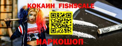 гашик Новозыбков