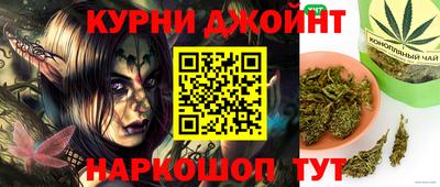 гашик Новозыбков