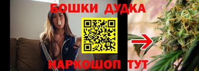 гашик Новозыбков