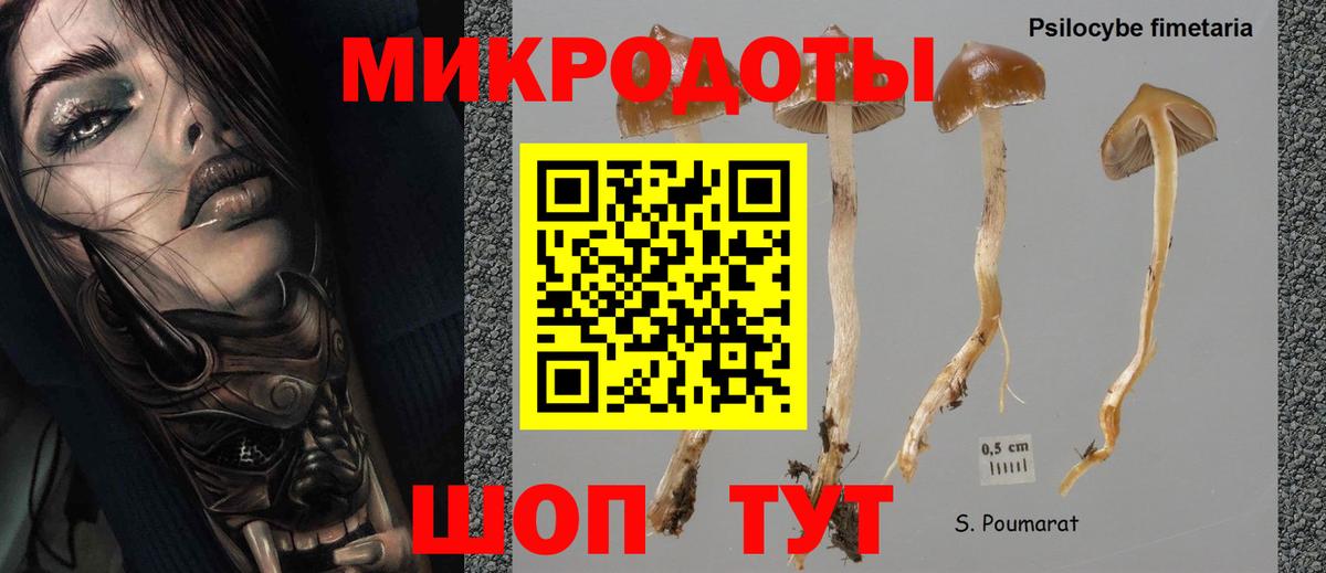 Галлюциногенные грибы мицелий Нальчик
